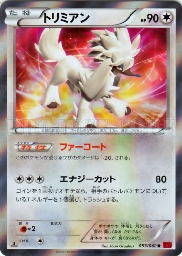 Furfrou 053/63 — Collection Y (Japanese Pokémon TCG card)