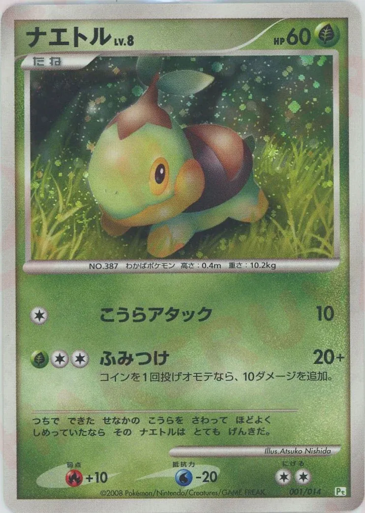 DPt Gift Box (Turtwig) expansion