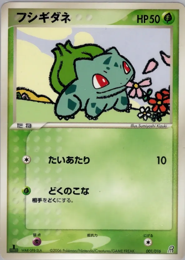 Earth's Groudon ex Constructed Starter Deck expansion