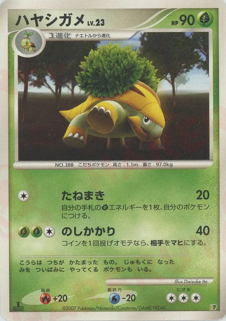 Grotle 002 — Entry Pack '08 (Japanese Pokémon TCG card)
