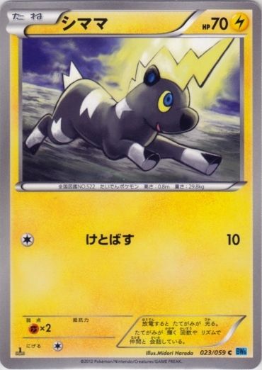 Blitzle 023/65 — Freeze Bolt (Japanese Pokémon TCG card)