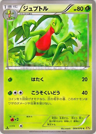 Grovyle No. 004 — Gaia Volcano (Japanese Pokémon TCG card)
