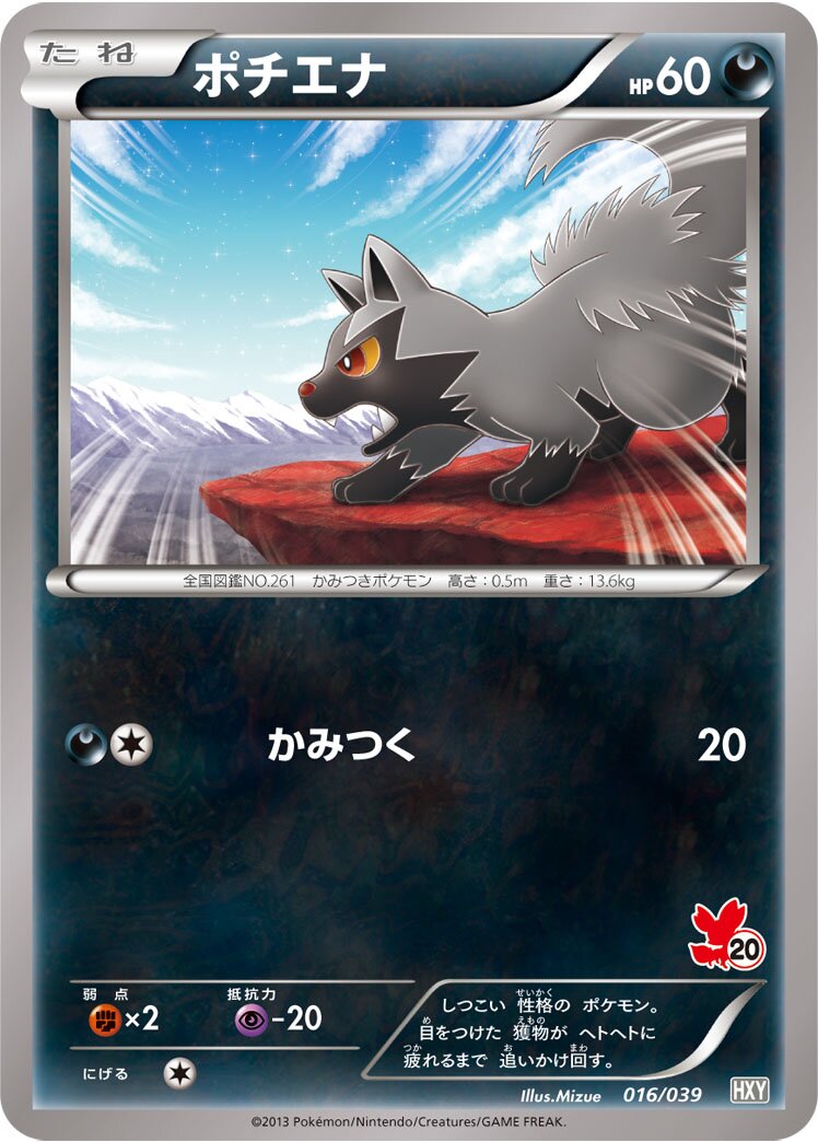 Poochyena 016 — XY Beginning Set (Japanese Pokémon TCG card)