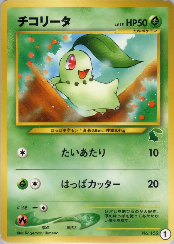 Intro Pack Neo (Chikorita) expansion