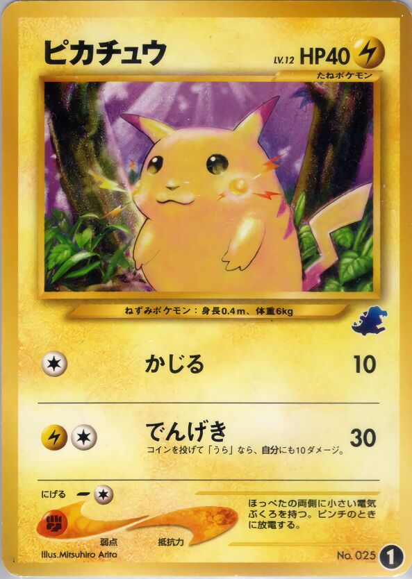Intro Pack Neo (Totodile) expansion