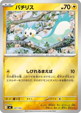 Pachirisu 247/768 — Start Deck 100 Battle Collection (Japanese Pokémon TCG card)