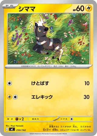 Blitzle 250/768 — Start Deck 100 Battle Collection (Japanese Pokémon TCG card)