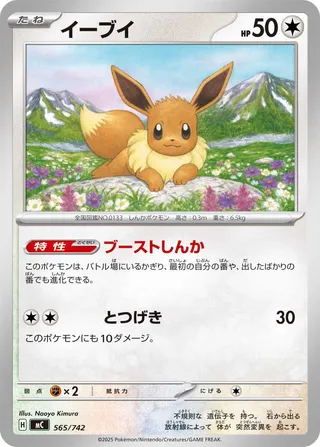 Eevee 565/768 — Start Deck 100 Battle Collection (Japanese Pokémon TCG card)