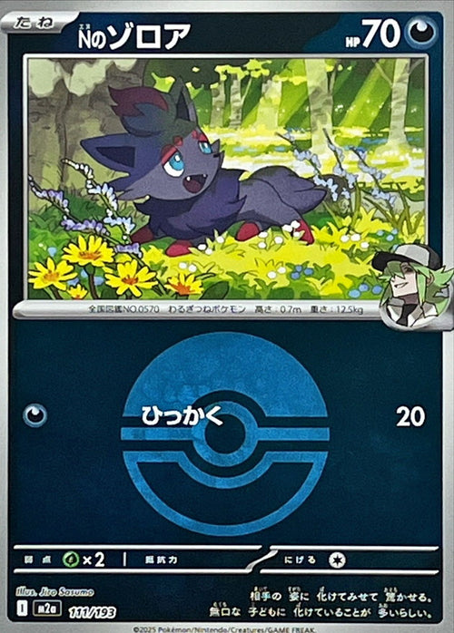 N's Zorua 111 — MEGA Dream ex: Additionals (Japanese Pokémon TCG card)