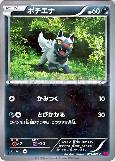 Poochyena 052/97 — Phantom Gate (Japanese Pokémon TCG card)