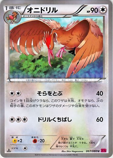 Fearow 067/97 — Phantom Gate (Japanese Pokémon TCG card)