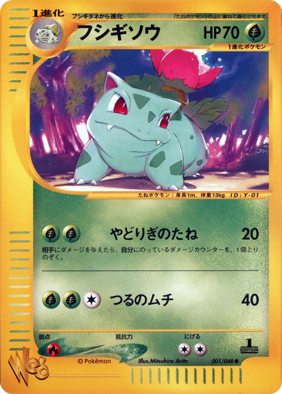 Pokémon Web expansion