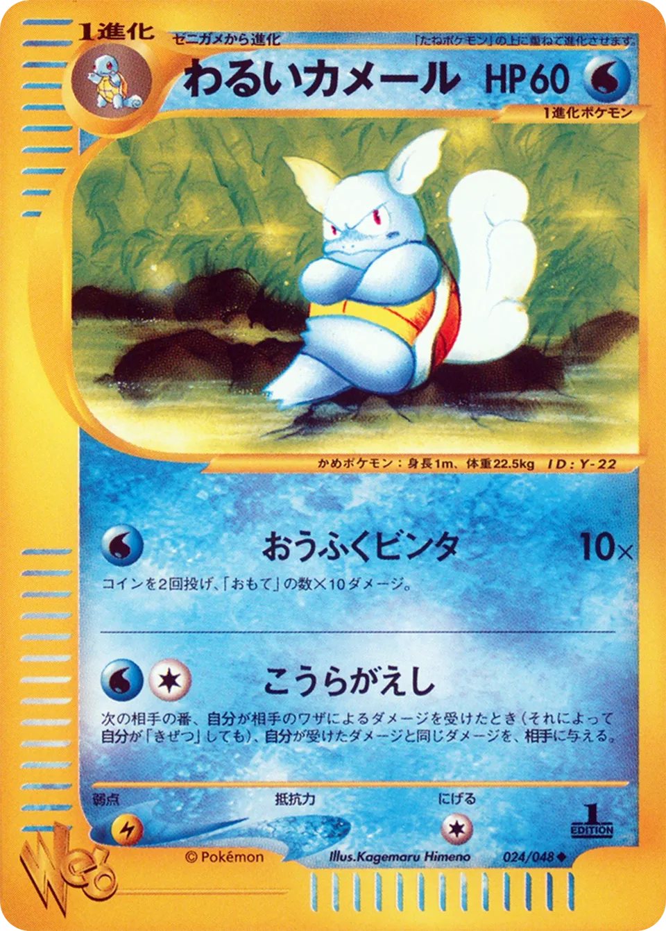 Dark Wartortle 024 — Pokémon Web (Japanese Pokémon TCG card)