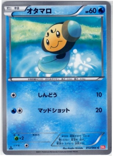 Tympole 013/72 — Red Collection (Japanese Pokémon TCG card)