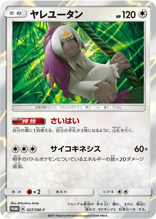 Oranguru 027/409 — Sun & Moon Promos (Japanese Pokémon TCG card)