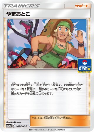 Hiker 107/409 — Sun & Moon Promos (Japanese Pokémon TCG card)