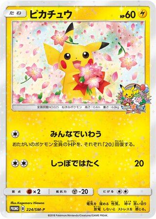 Pikachu 224/409 — Sun & Moon Promos (Japanese Pokémon TCG card)