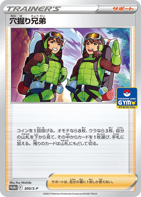 Digging Duo 300/340 — Sword & Shield Promos (Japanese Pokémon TCG card)