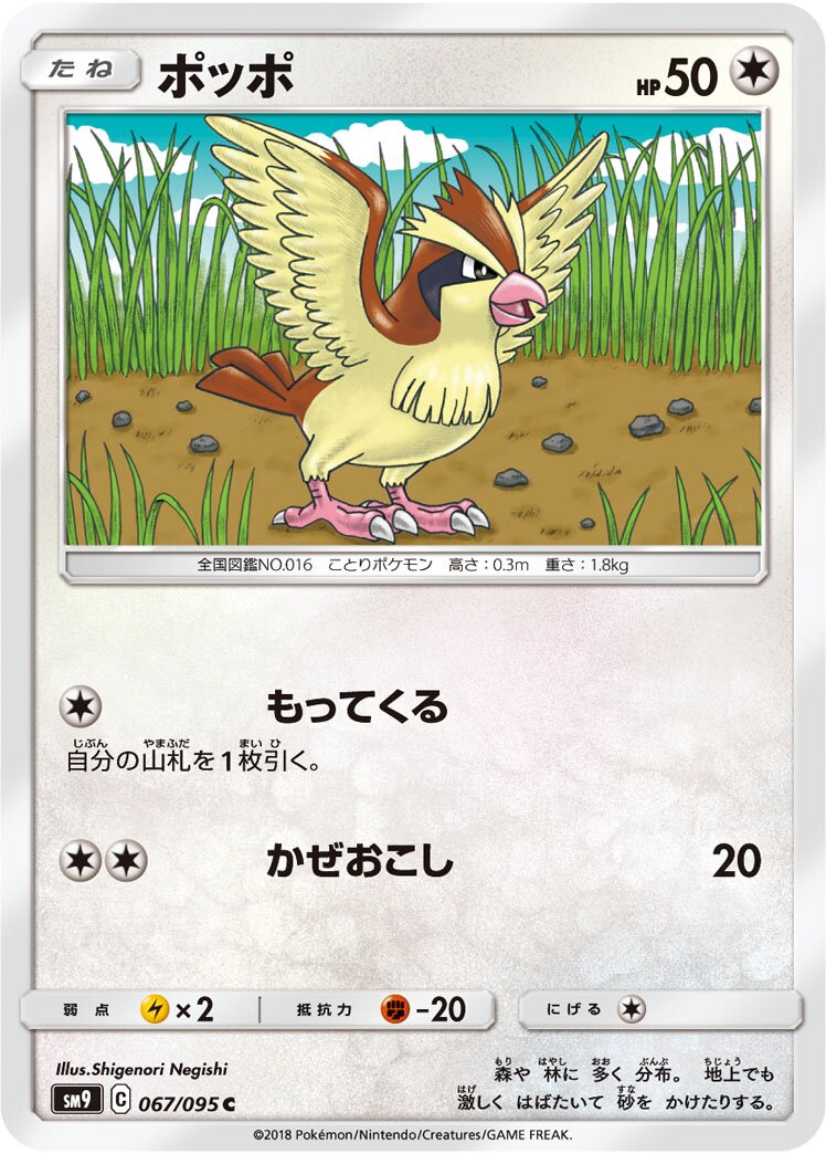 Pidgey 067/095 — Tag Bolt (Japanese Pokémon TCG card)