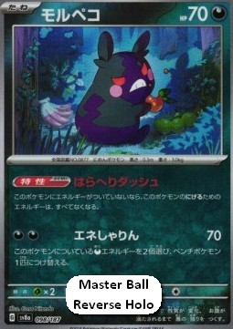 Morpeko 098 — Terastal Festival ex: Additionals Singles (Japanese Pokémon TCG card)