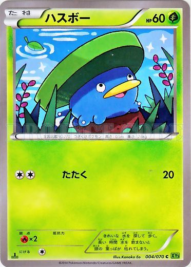 Lotad 004/80 — Tidal Storm (Japanese Pokémon TCG card)