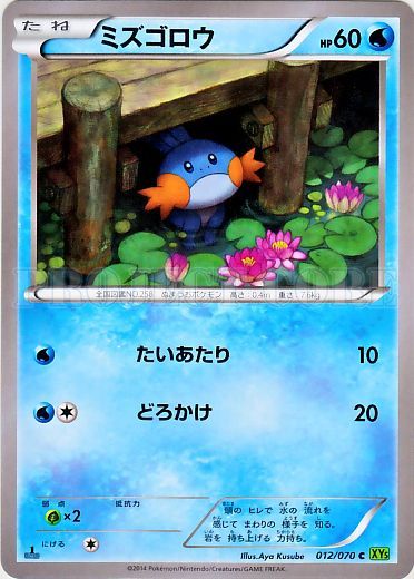 Mudkip 012/80 — Tidal Storm (Japanese Pokémon TCG card)