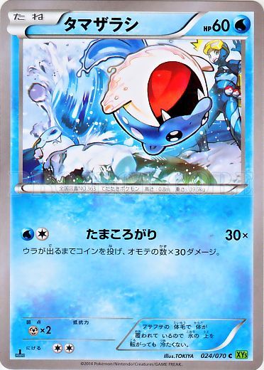 Spheal 024/80 — Tidal Storm (Japanese Pokémon TCG card)