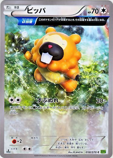 Bidoof 058/80 — Tidal Storm (Japanese Pokémon TCG card)