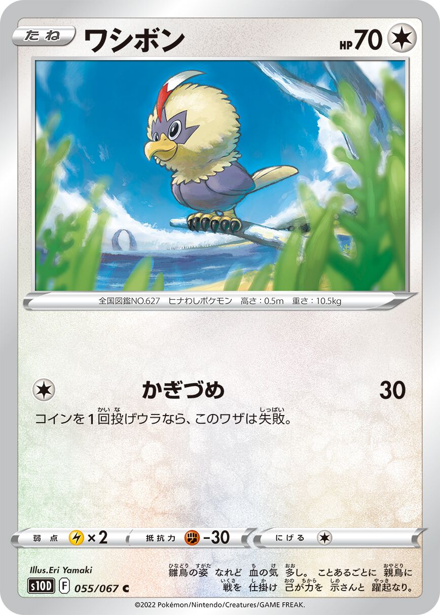 Rufflet 055/88 — Time Gazer (Japanese Pokémon TCG card)