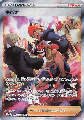 Raihan 237/172 — VSTAR Universe (Japanese Pokémon TCG card)