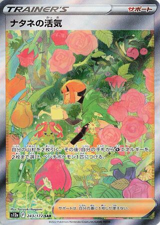 Gardenia's Vigor 243/172 — VSTAR Universe (Japanese Pokémon TCG card)