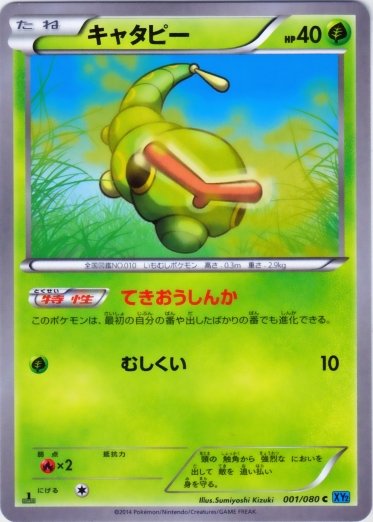Wild Blaze expansion