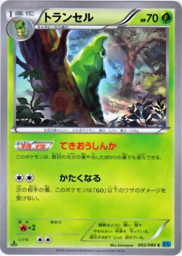 Metapod 002/080 — Wild Blaze (Japanese Pokémon TCG card)