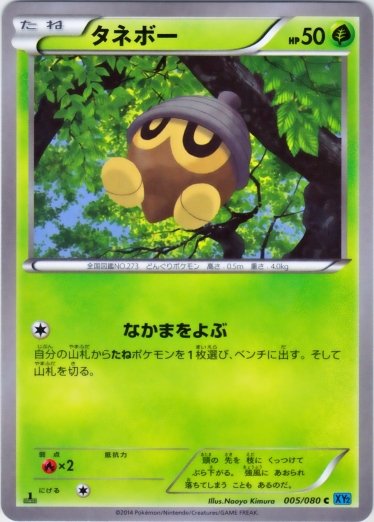 Lotad 005/080 — Wild Blaze (Japanese Pokémon TCG card)