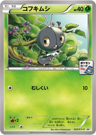Scatterbug 020/298 — XY Promos (Japanese Pokémon TCG card)