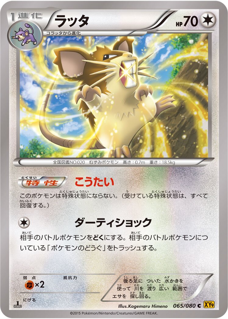Raticate 065 — BREAKpoint (Japanese Pokémon TCG card)