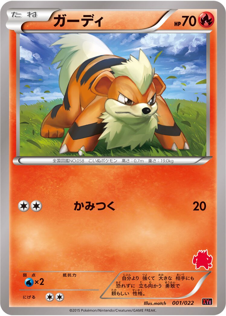 Emboar-EX vs Togekiss-EX Battle Starter Set expansion