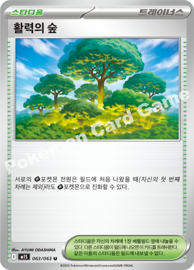 Mystery Garden 063/92 — Mega Symphonia (Korean Pokémon TCG card)