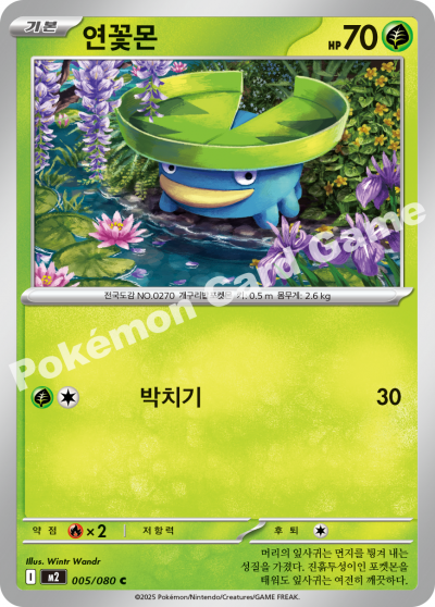 Lotad 005/116 — Inferno X (Korean Pokémon TCG card)