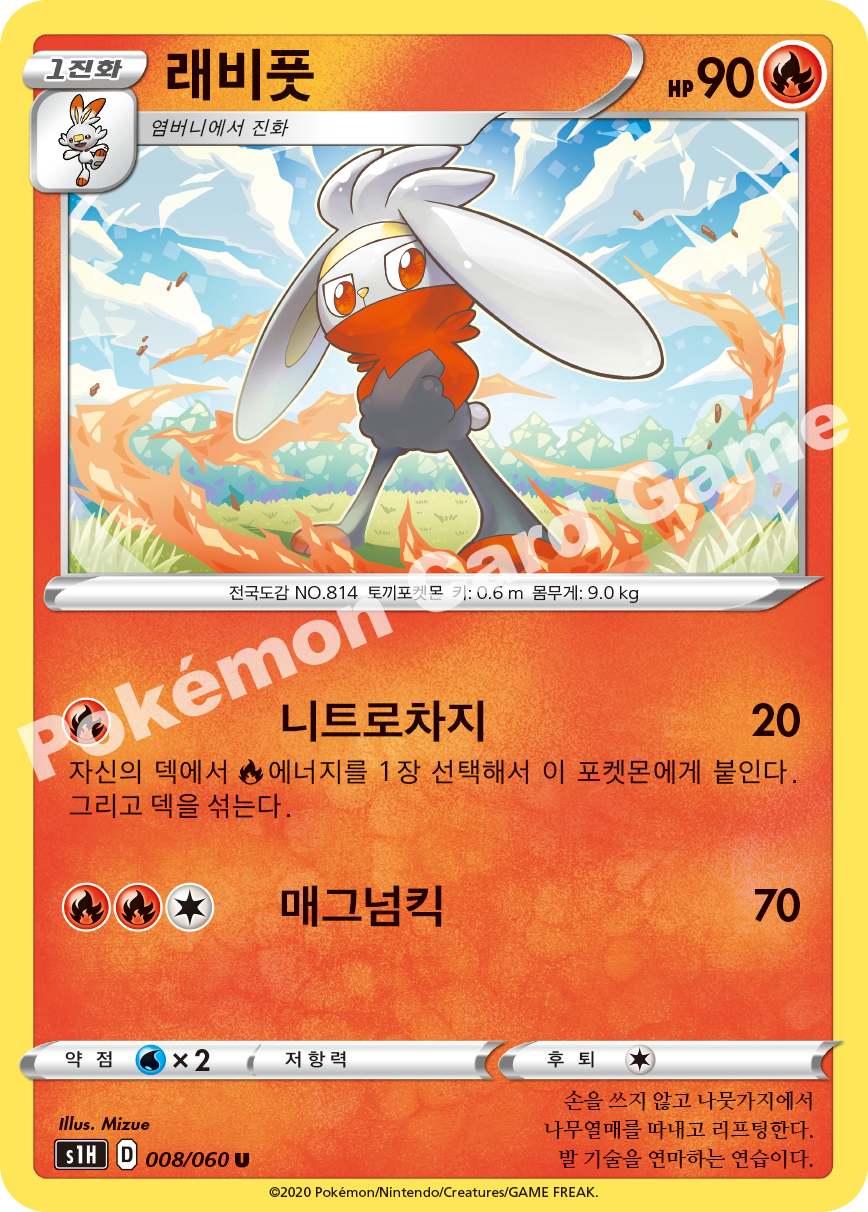 Raboot 008 — Shield (Korean Pokémon TCG card)