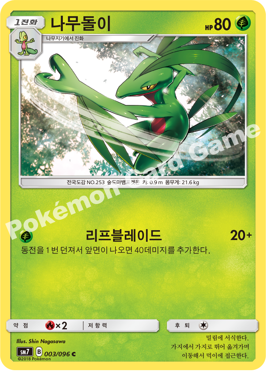 나무돌이 003 — Celestial Storm (Korean Pokémon TCG card)