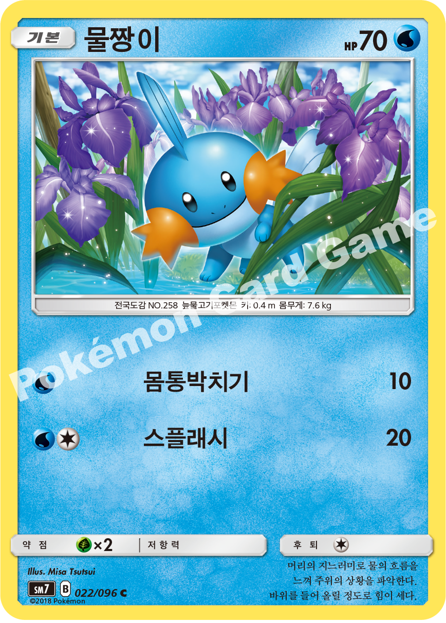 물짱이 022 — Celestial Storm (Korean Pokémon TCG card)