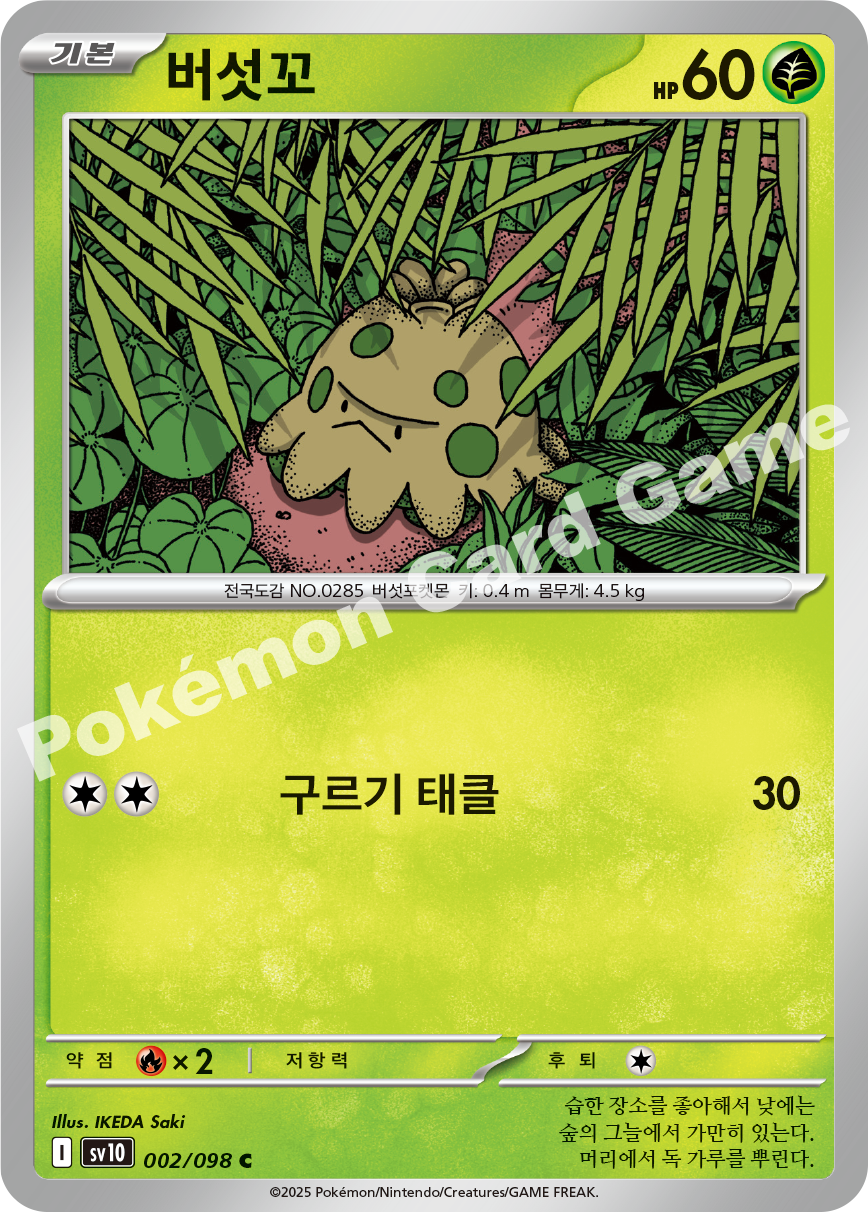 Shroomish 002 — Destined Rivals (Korean Pokémon TCG card)