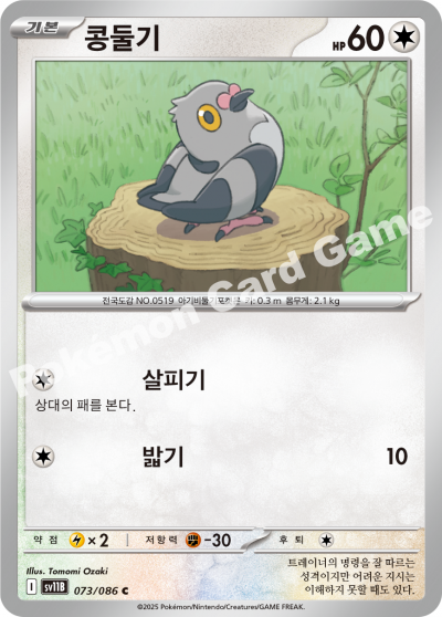 Pidove 073/174 — Black Bolt (Korean Pokémon TCG card)