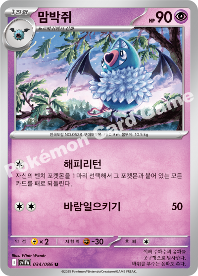Swoobat 034/174 — White Flare (Korean Pokémon TCG card)
