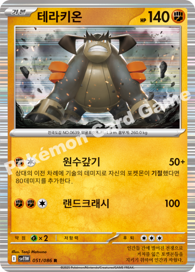 Terrakion 051/174 — White Flare (Korean Pokémon TCG card)