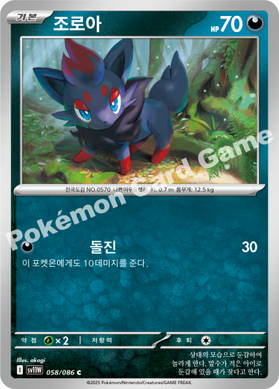 Zorua 058/174 — White Flare (Korean Pokémon TCG card)