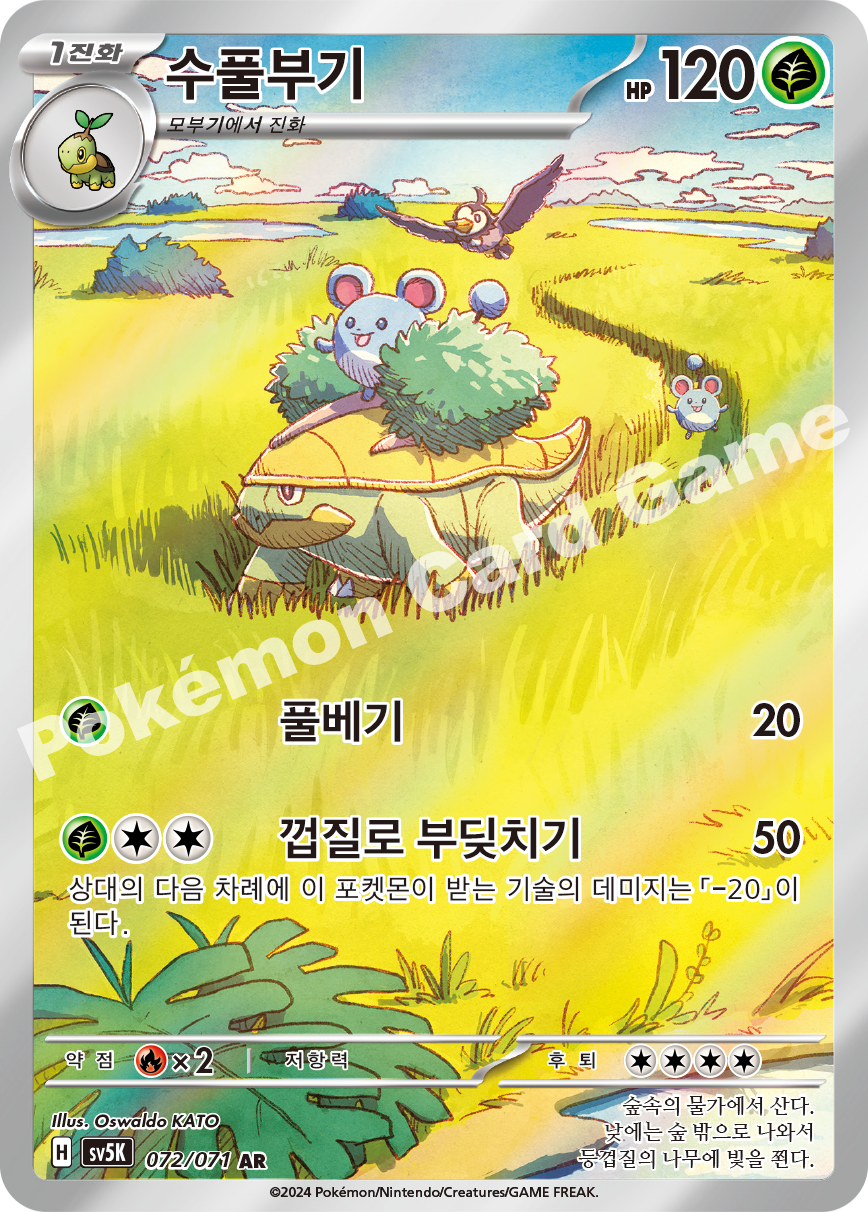 Grotle 072 — Wild Force (Korean Pokémon TCG card)
