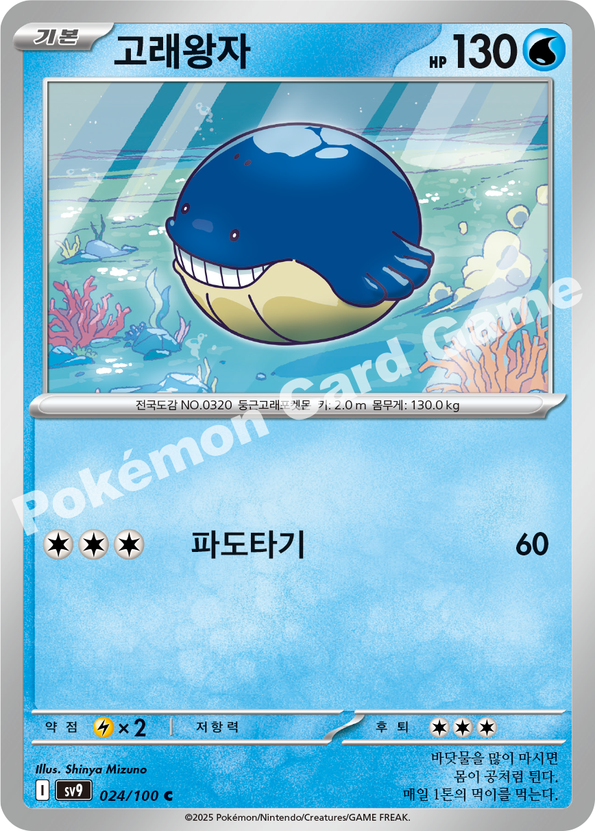Wailmer 024 — Battle Partners (Korean Pokémon TCG card)