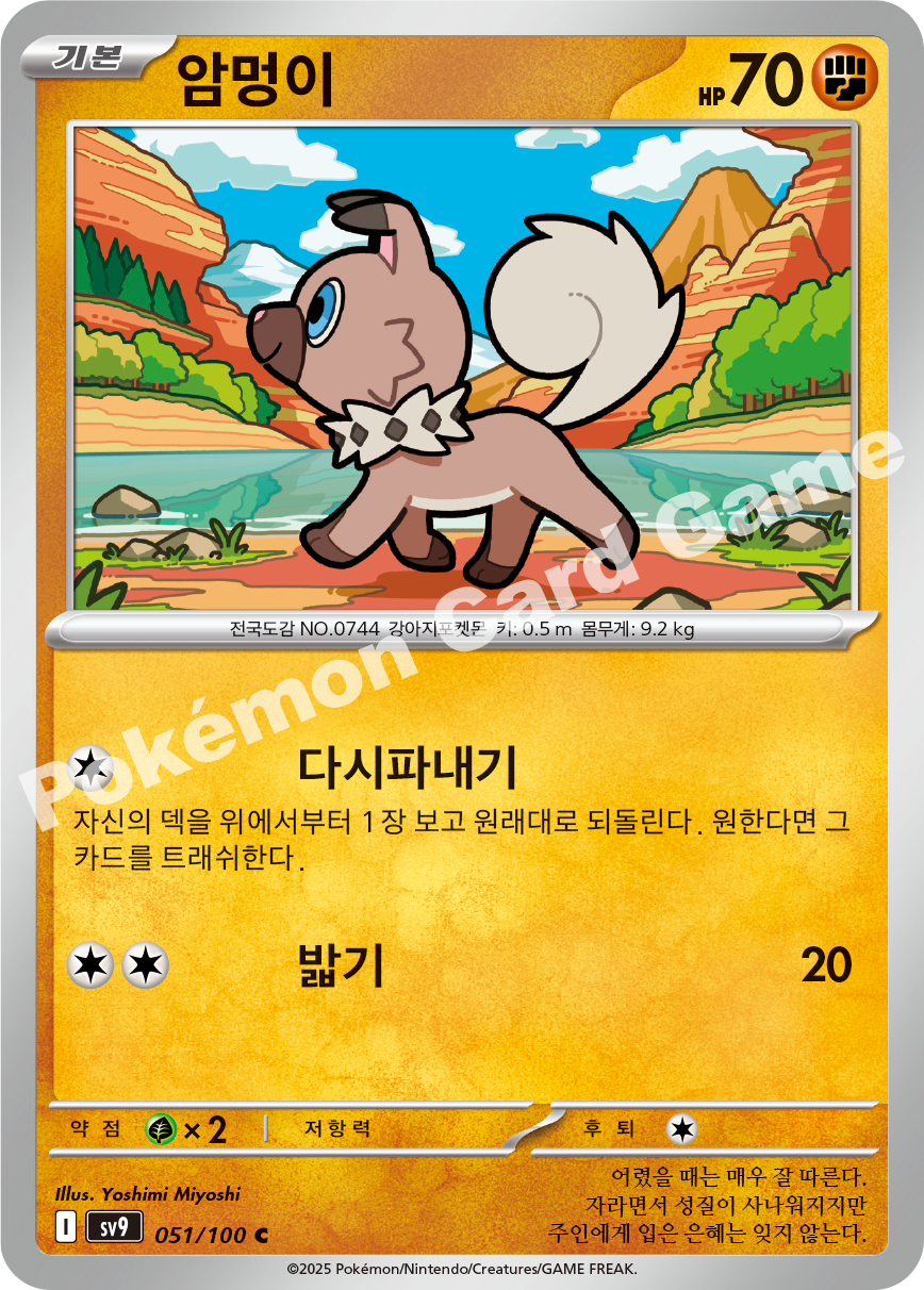 Rockruff 051 — Battle Partners (Korean Pokémon TCG card)